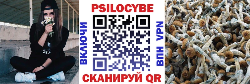 Галлюциногенные грибы прущие грибы  Жуков 